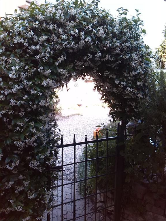 Bed and Breakfast La Carbonara 6 Bardolino Exterior foto